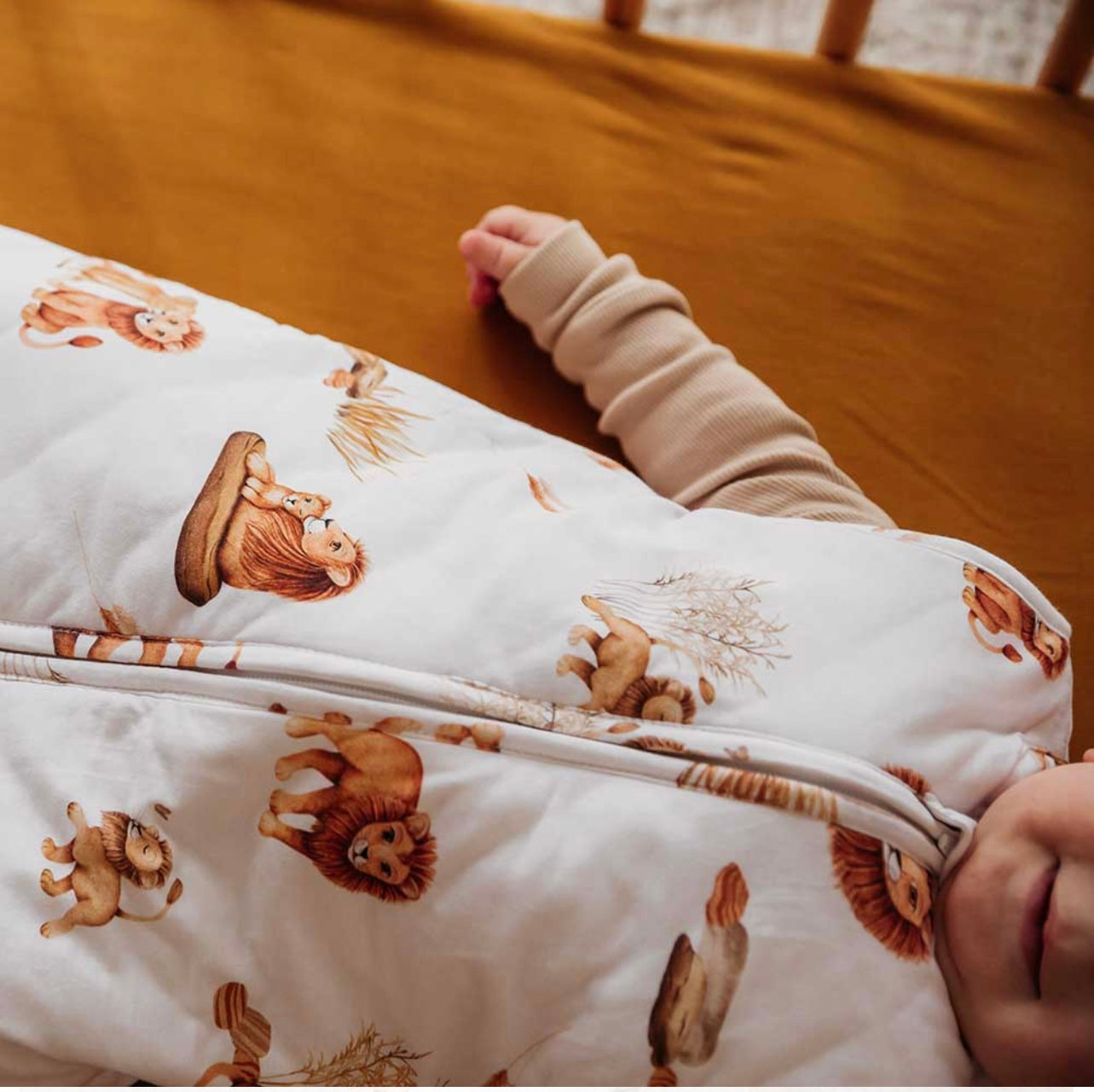 Lion Organic Sleeping Bag 2.5 Tog