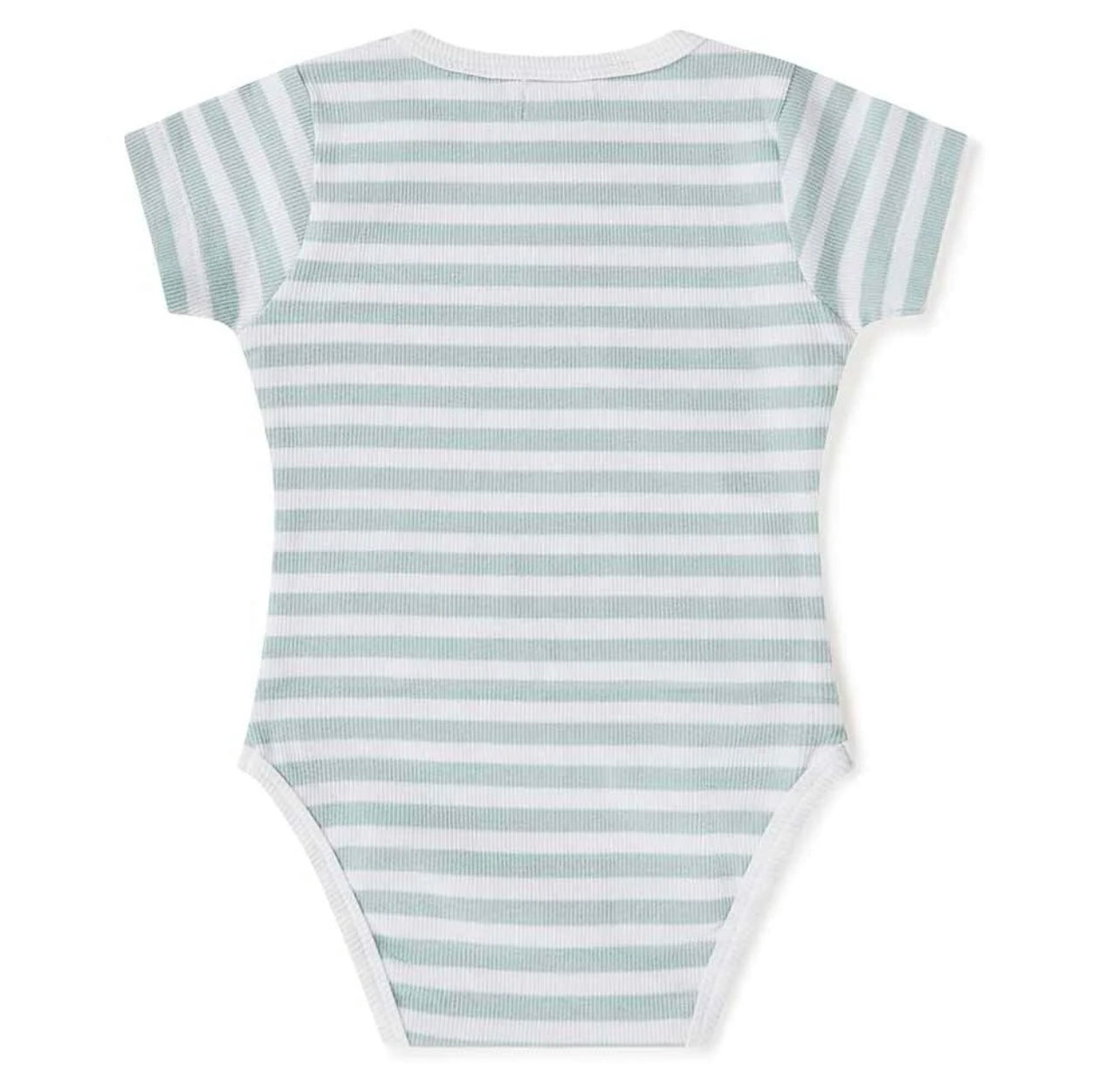 Sage Stripe Short Sleeve Organic Bodysuit