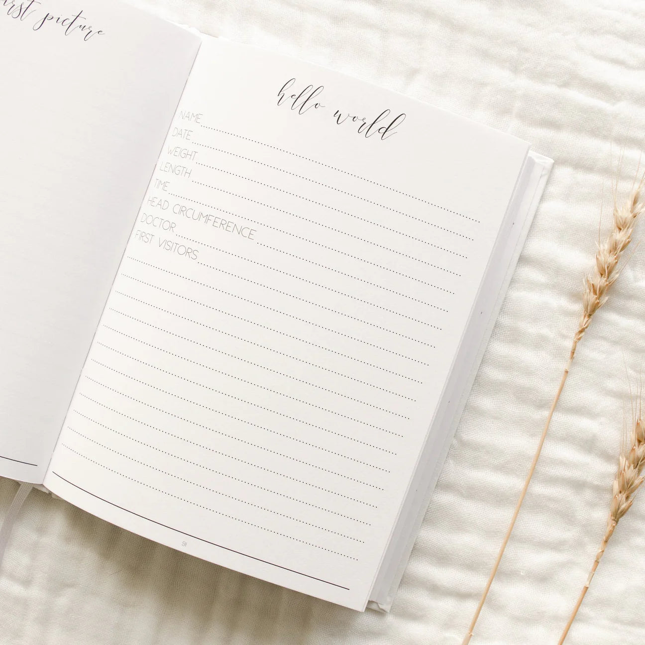 Hello Little Mama - Pregnancy Journal