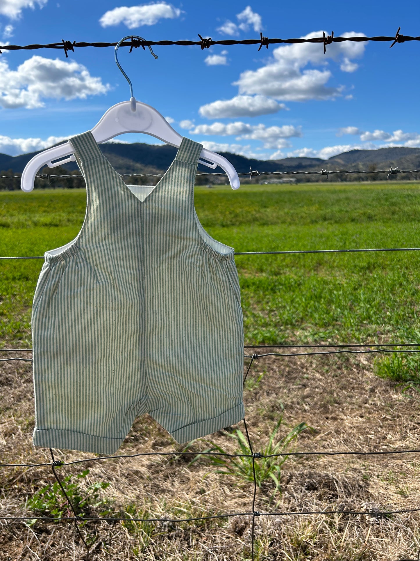 Roman Green Stripe Overalls