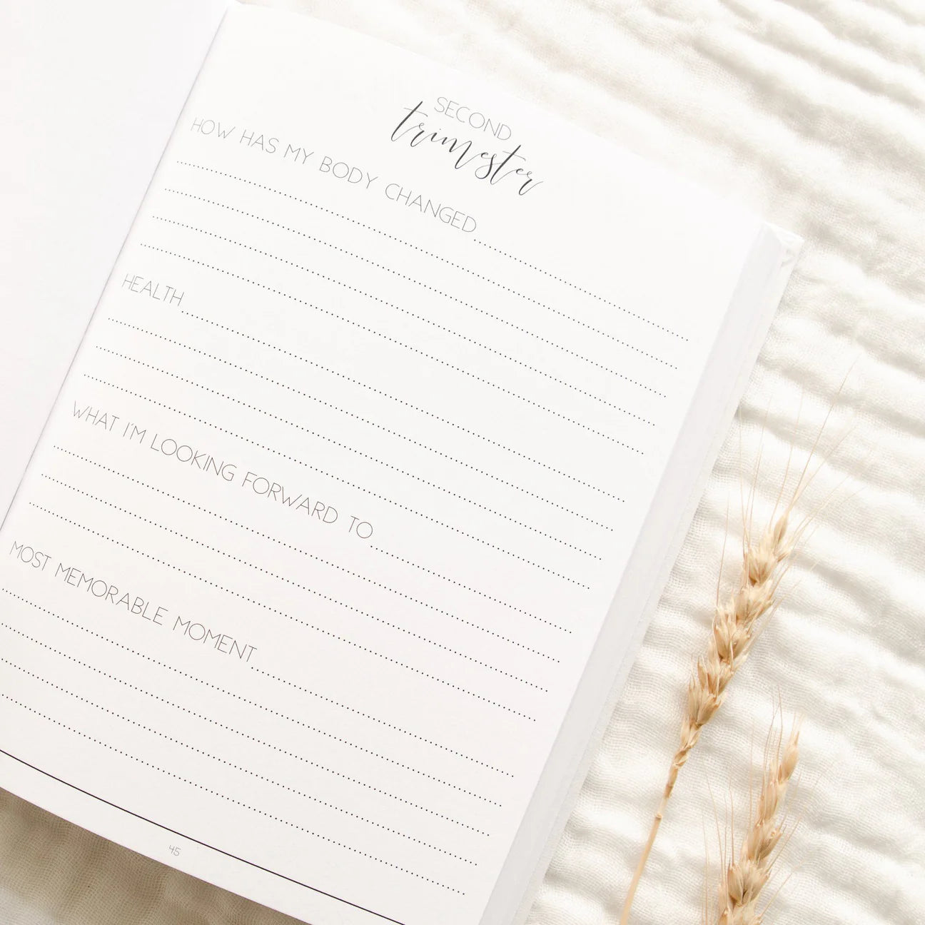 Hello Little Mama - Pregnancy Journal