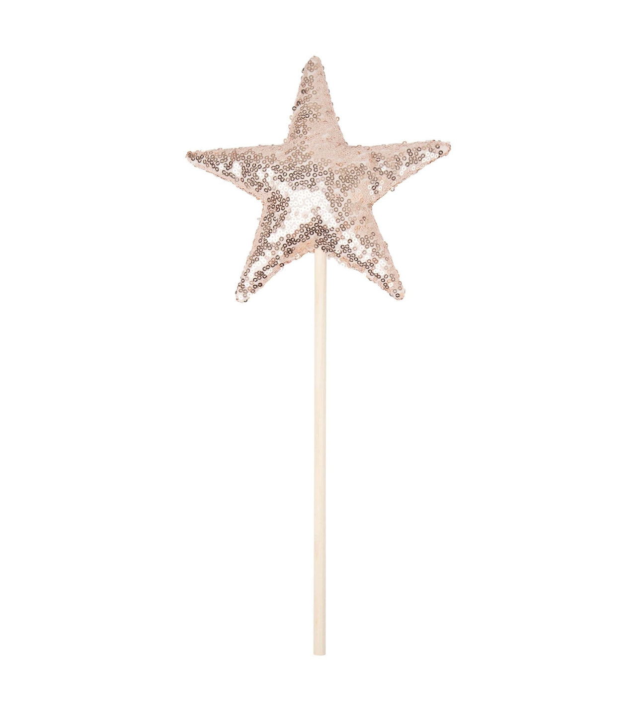 Princess Party Crown & Wand Set - Pink - One Size