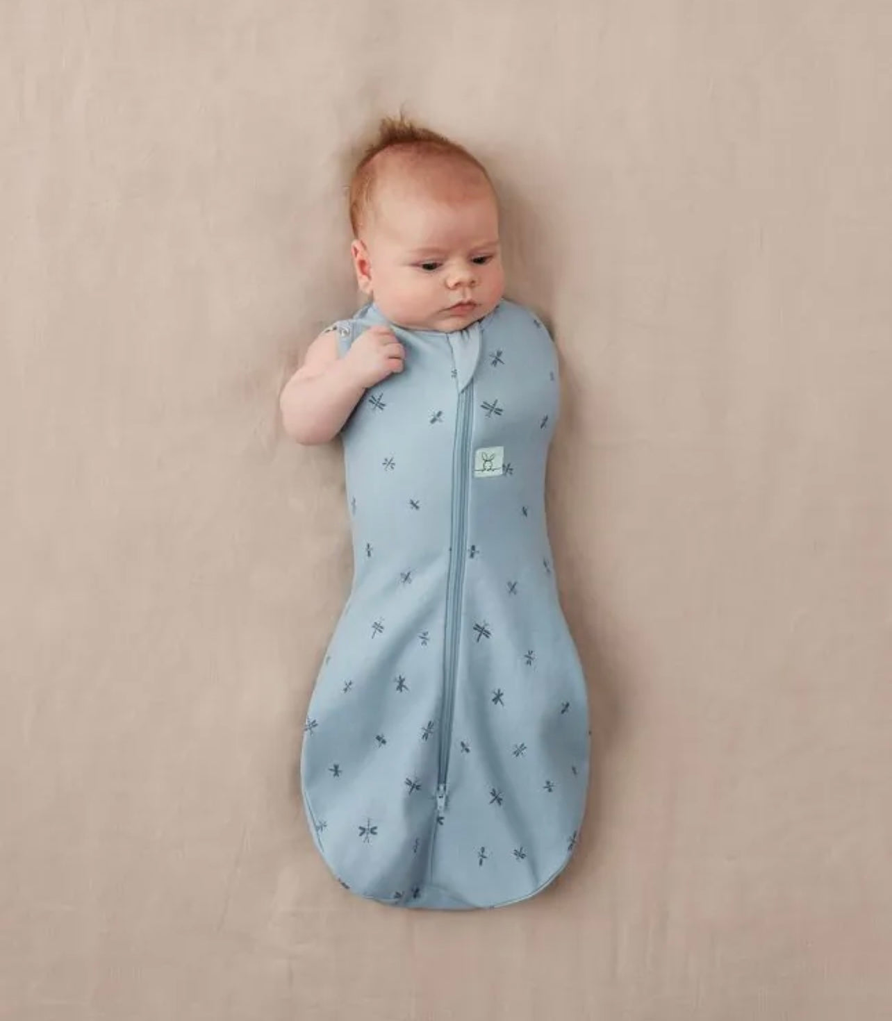 Cocoon Swaddle Bag 1.0 TOG - Dragonflies