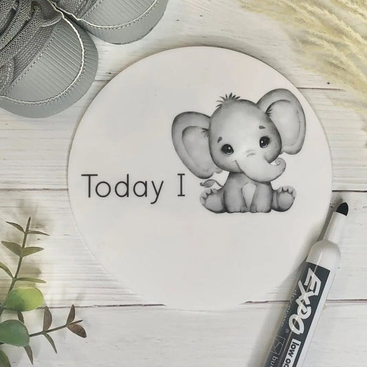 Reusable My First & Today I - Milestone Disc