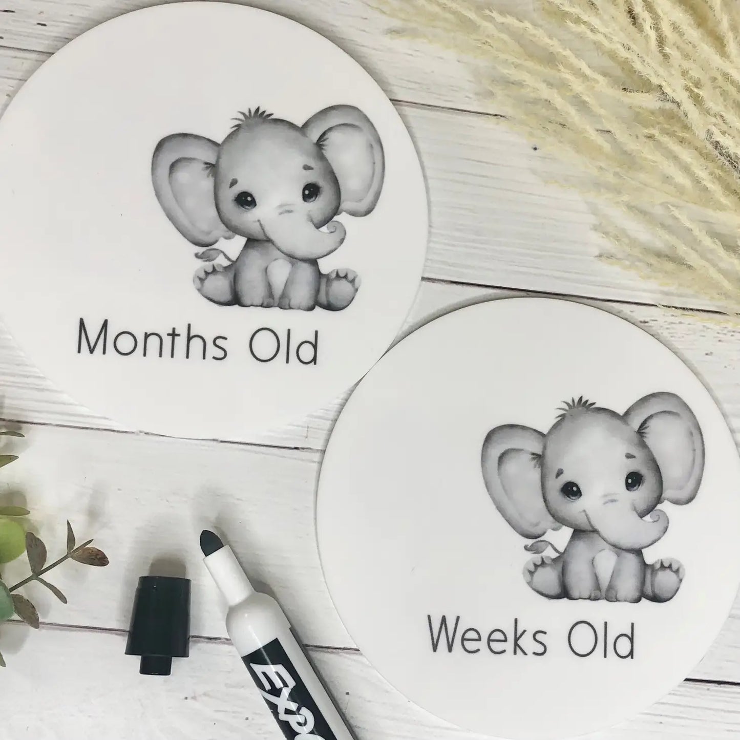 Re-usable Weeks & Months Milestone Discs