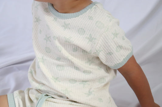 SEASIDE SHELLS I SUMMER SET