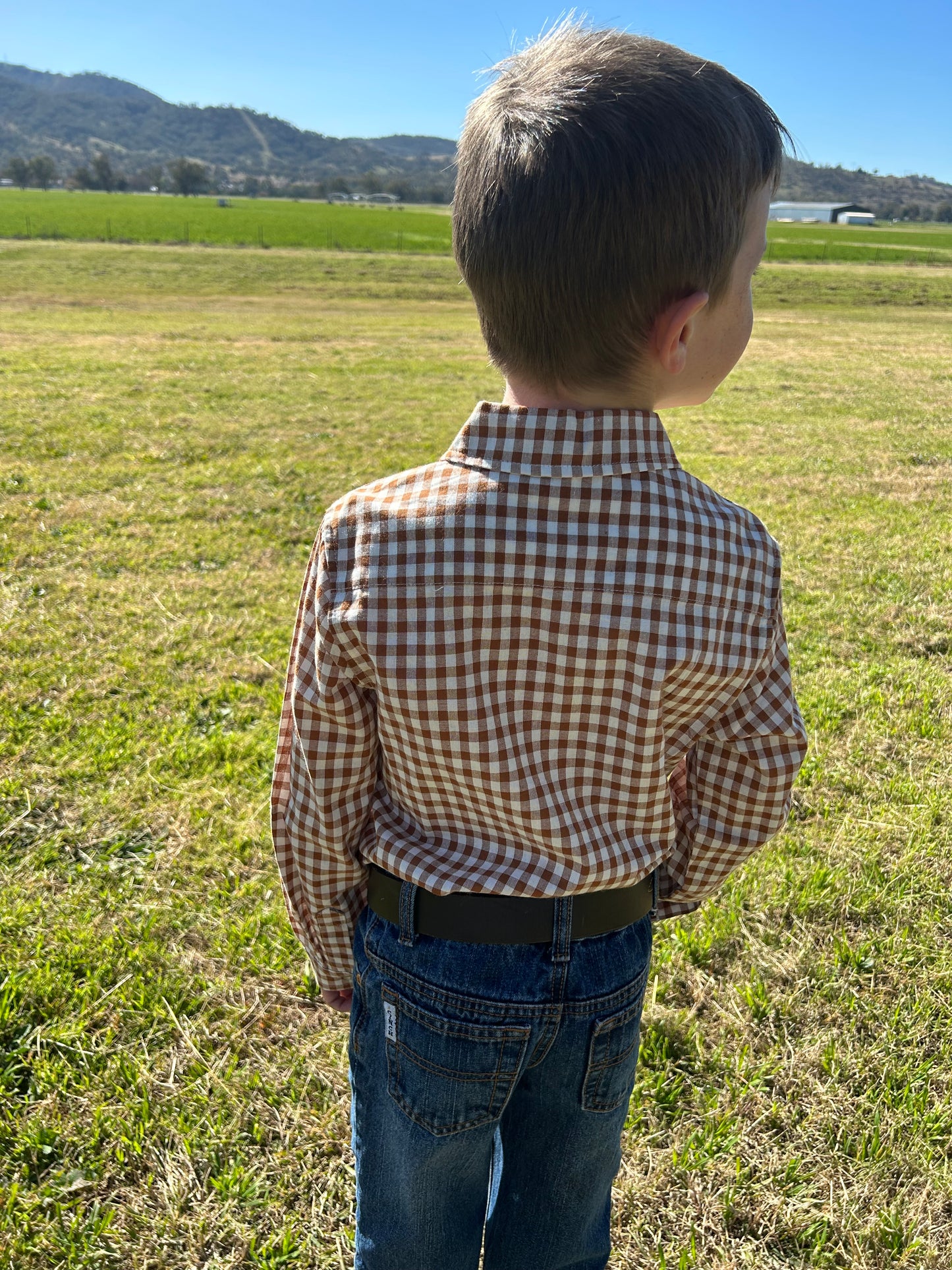 Oliver Long Sleeve Button Shirt - Cocoa Gingham