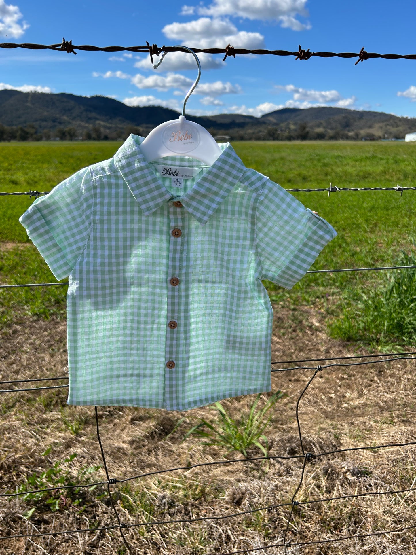 Roman Green Check SS Shirt