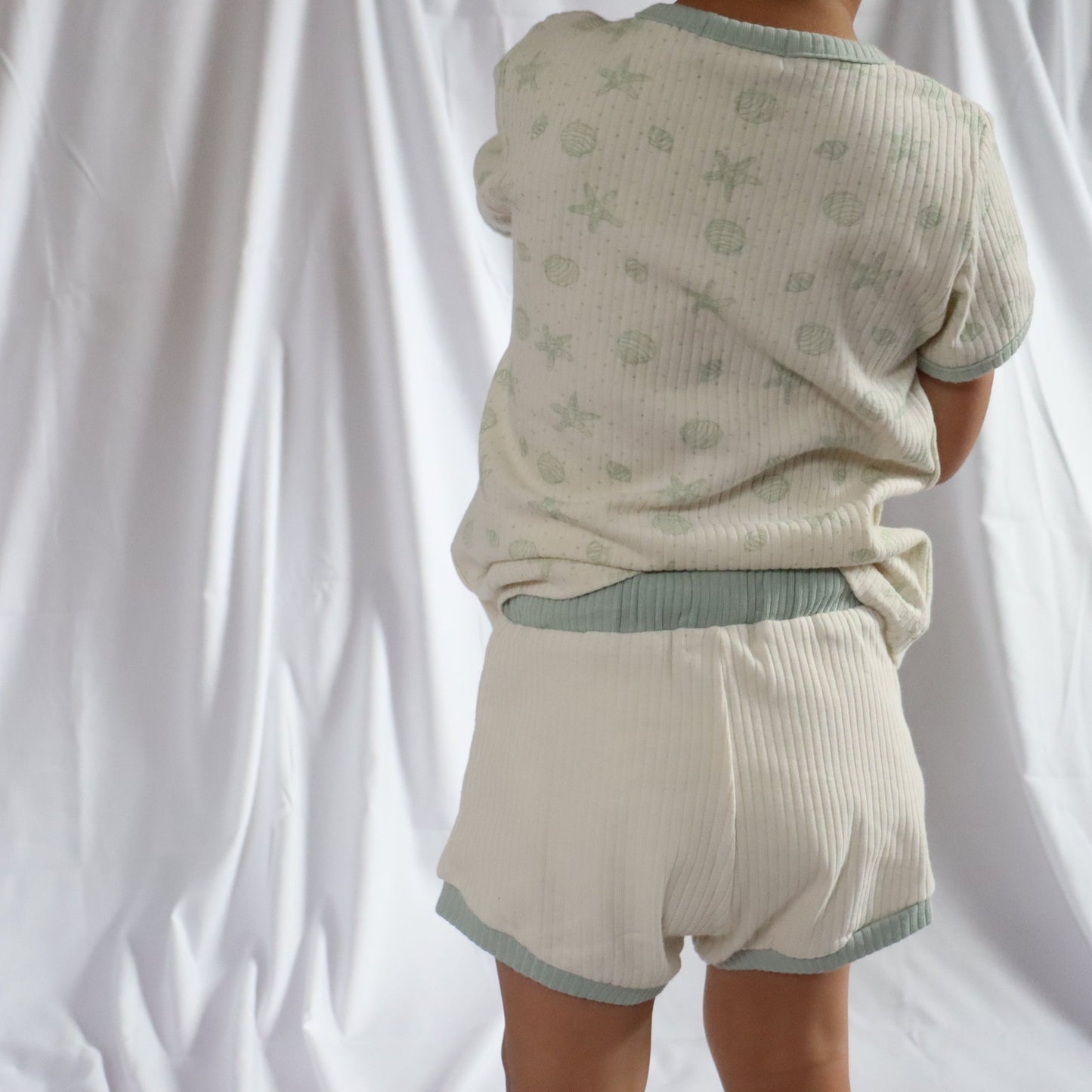 SEASIDE SHELLS I SUMMER SET