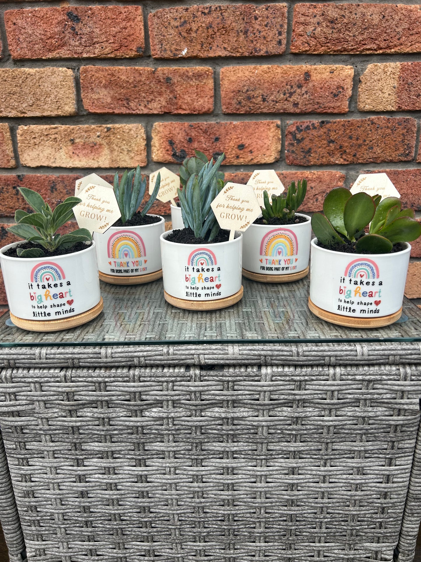 Succulent Gifts