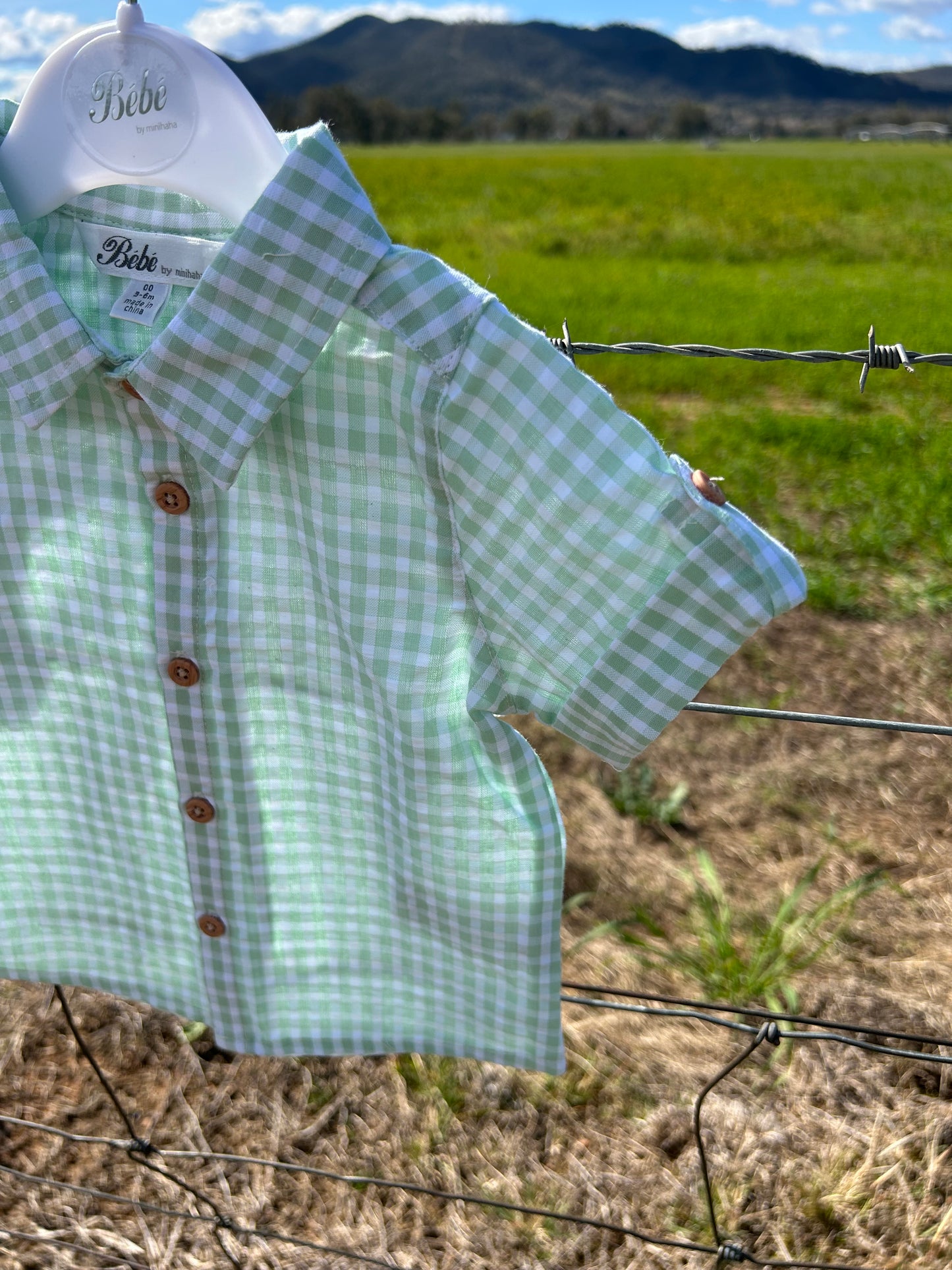 Roman Green Check SS Shirt