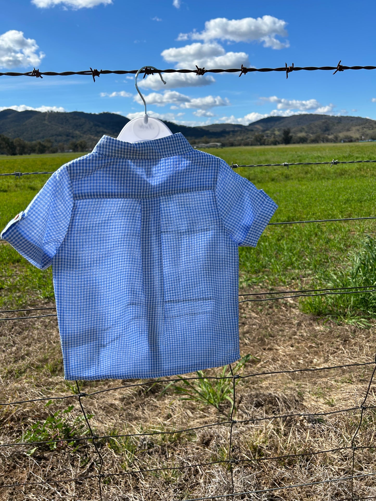 Roman Blue Check SS Shirt