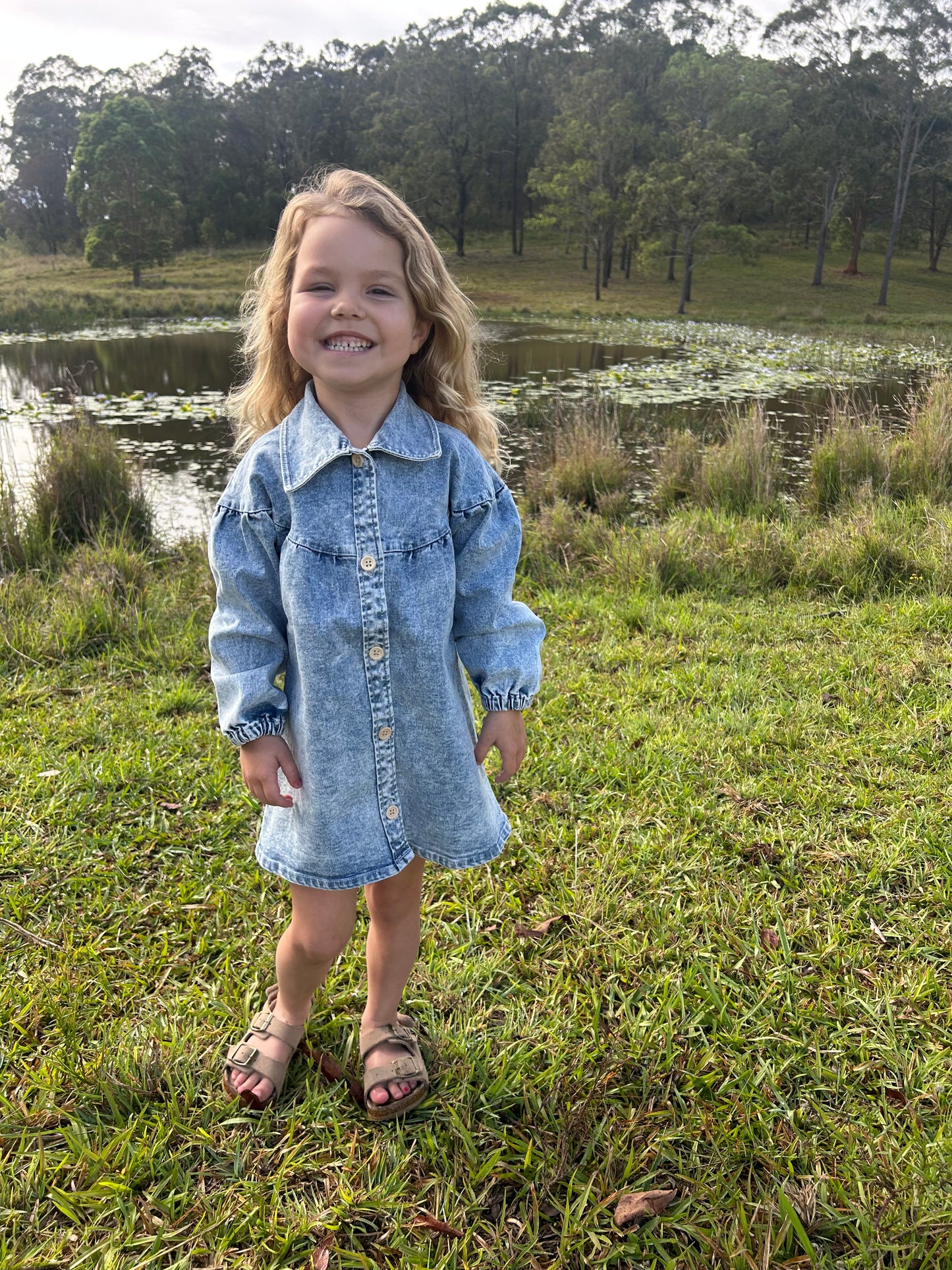 Harper Denim Dress - Denim Blue