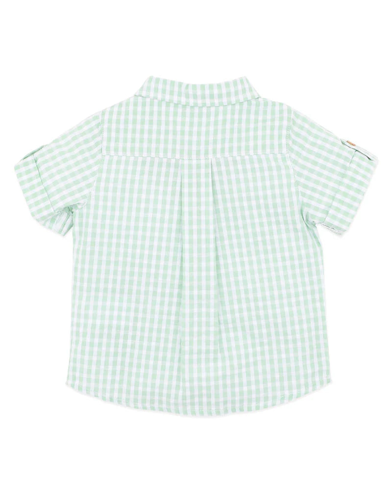 Roman Green Check SS Shirt