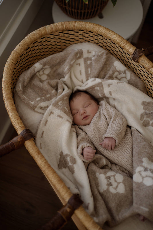 Little Ted Knitted Blanket