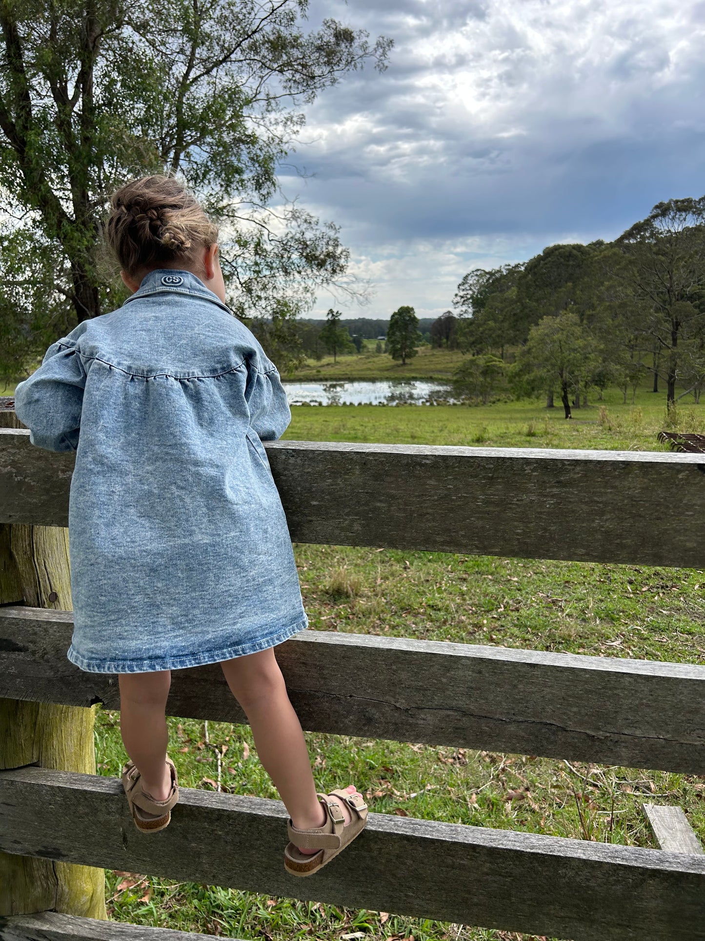 Harper Denim Dress - Denim Blue