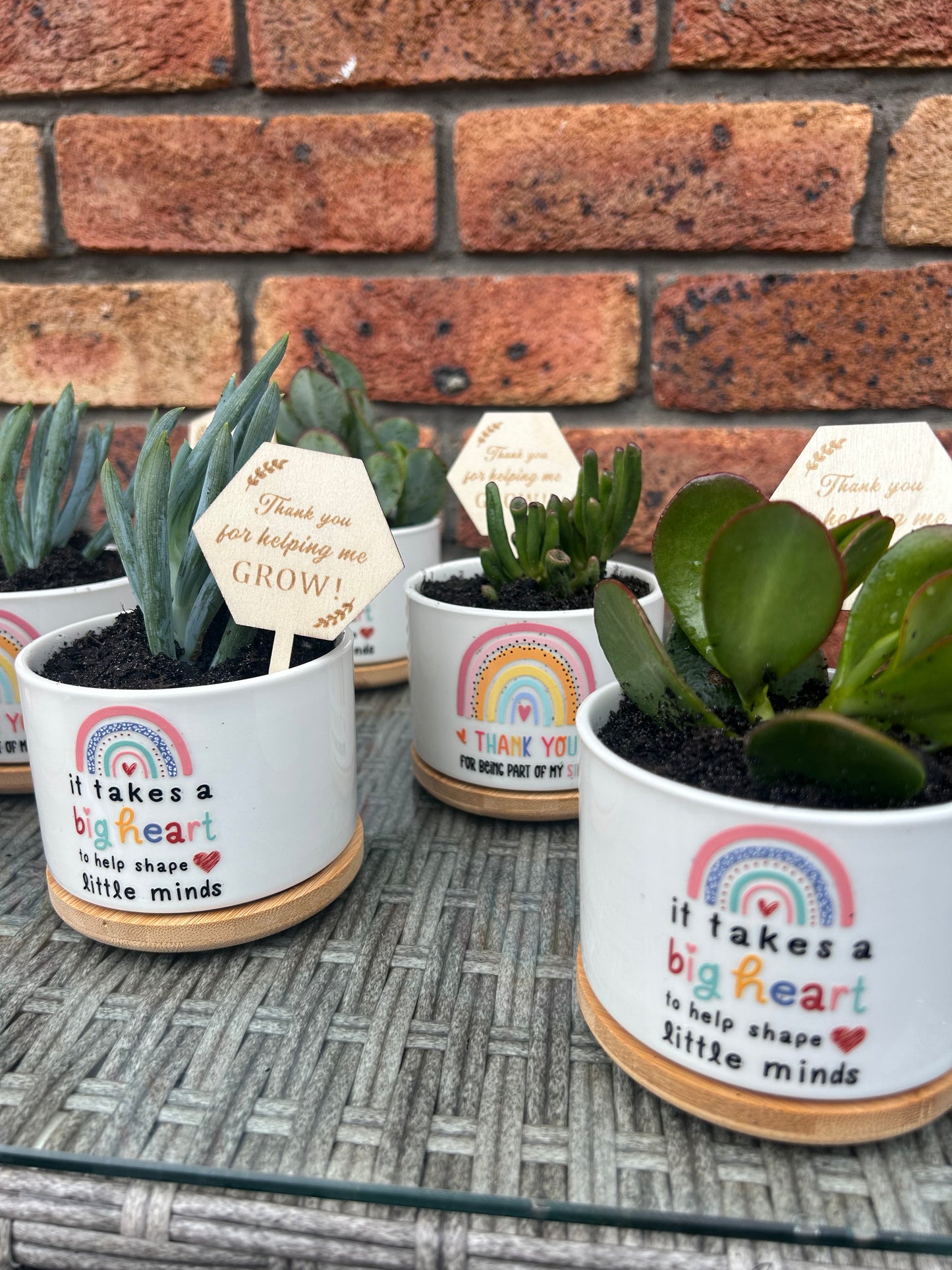 Succulent Gifts