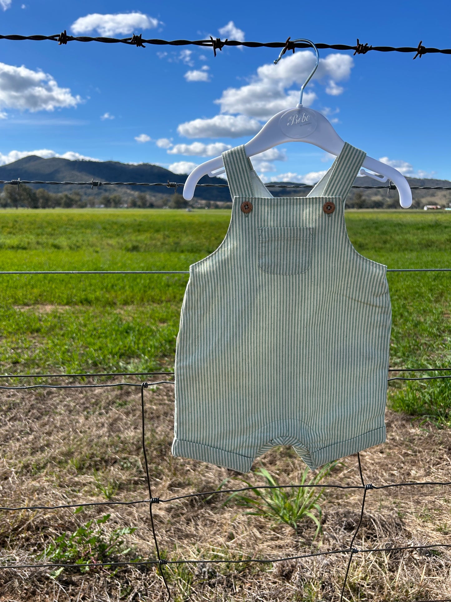 Roman Green Stripe Overalls