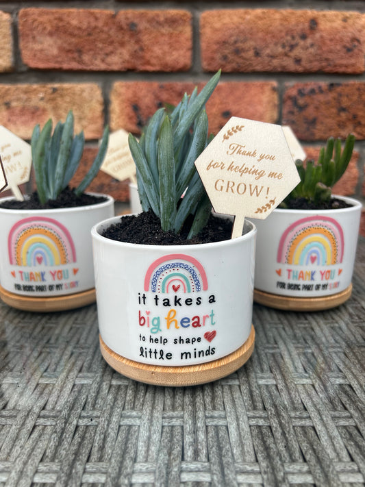 Succulent Gifts