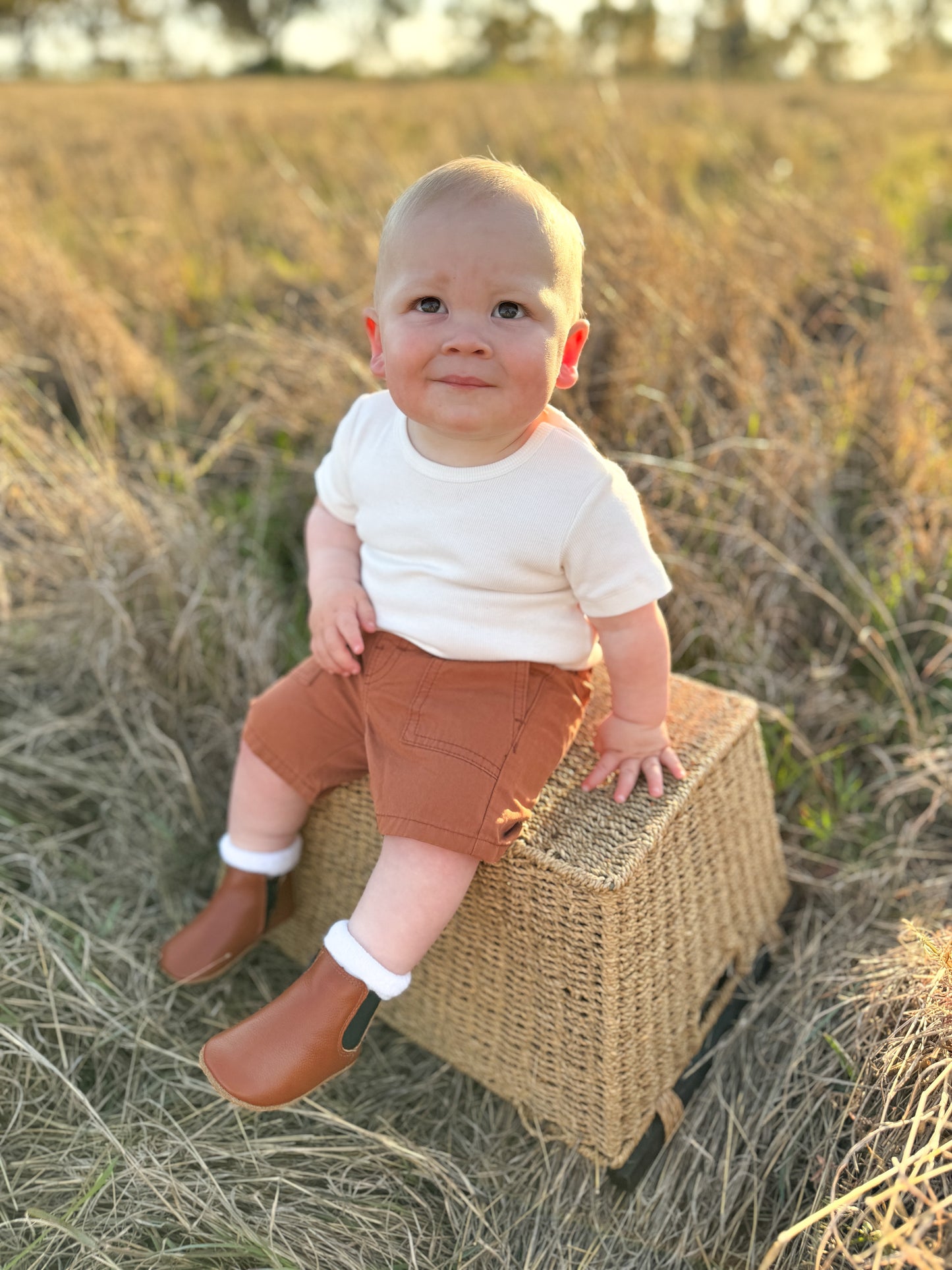 BOYS GINGERBREAD SHORTS