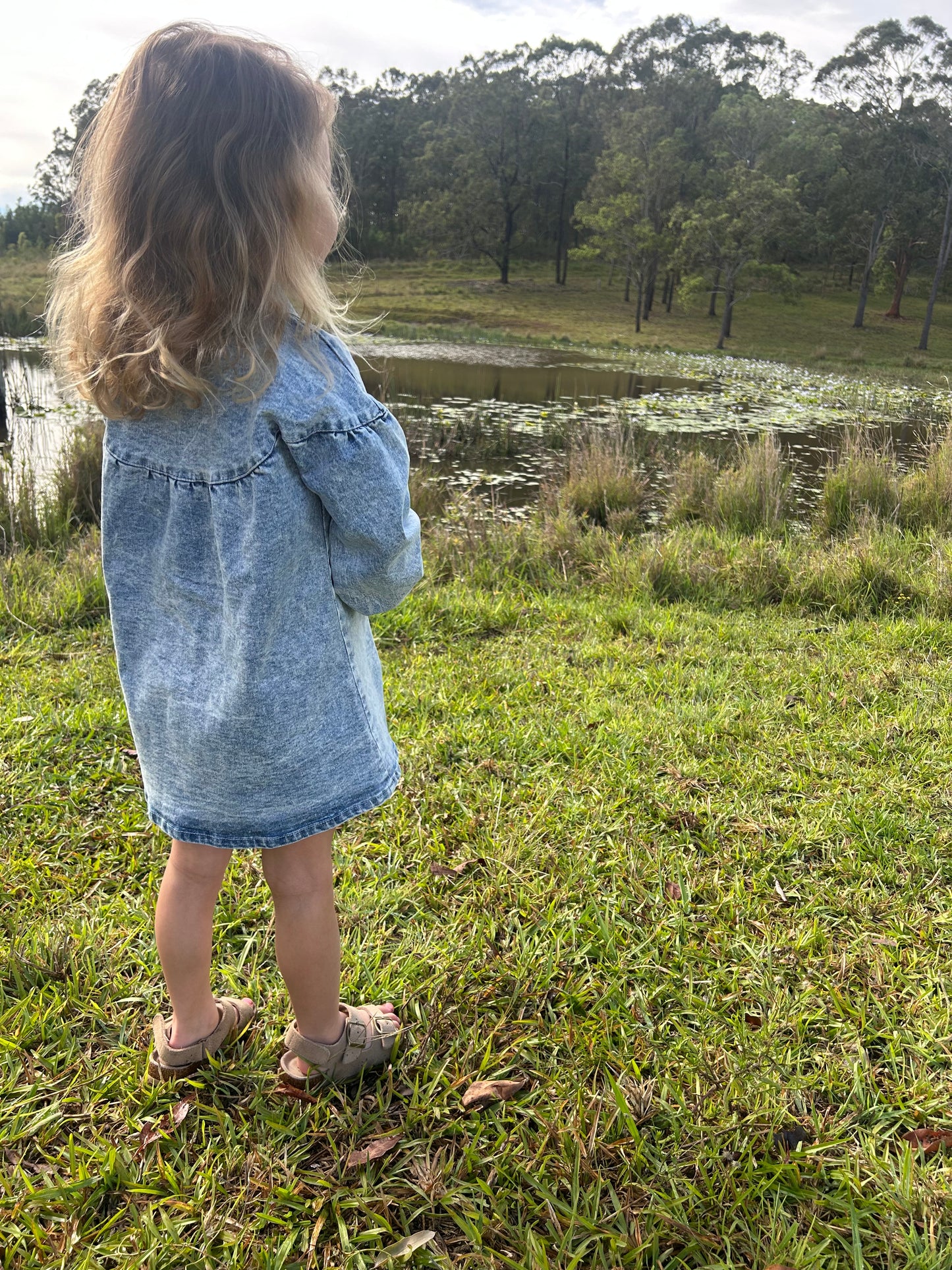 Harper Denim Dress - Denim Blue