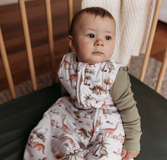 Dino Organic Sleeping Bag 2.5 Tog
