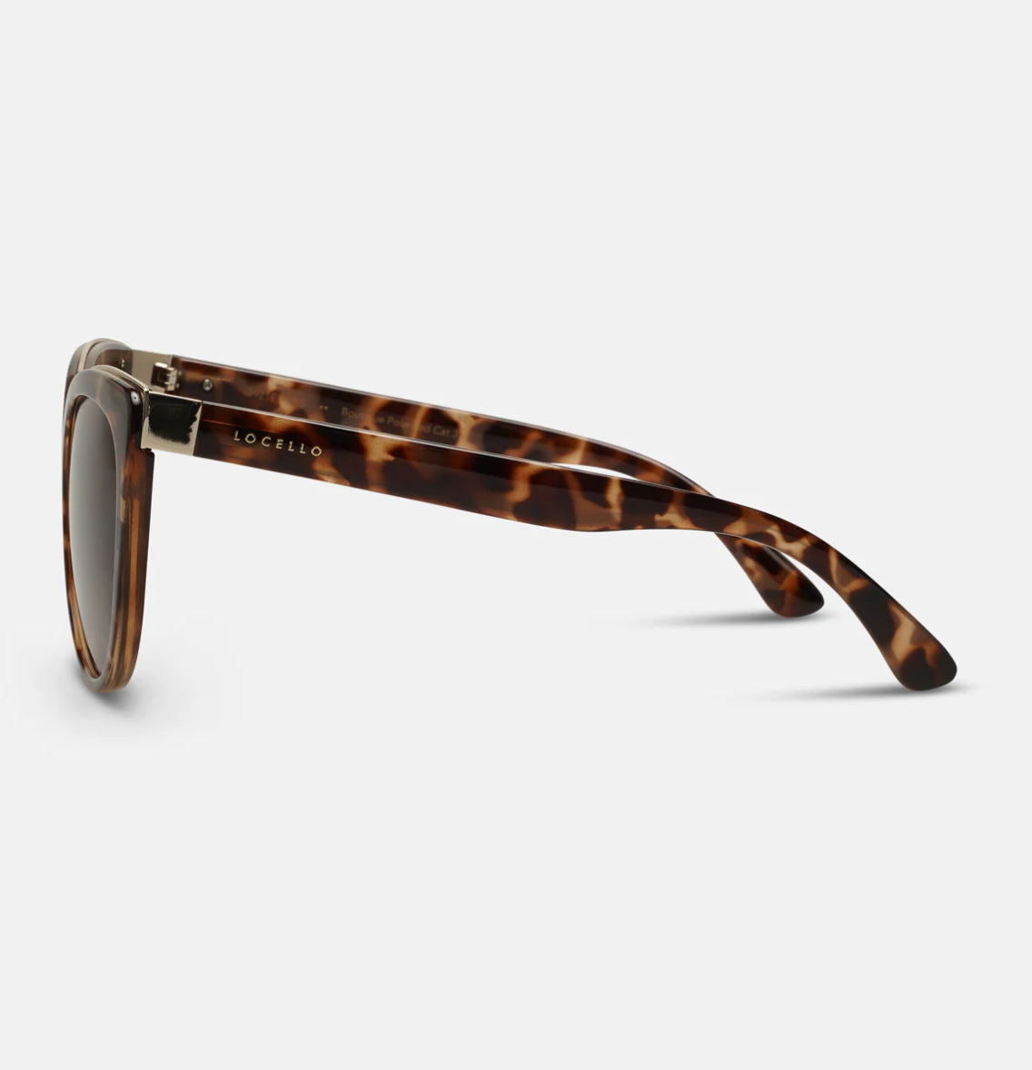 PARIS
Tortoiseshell I Brown