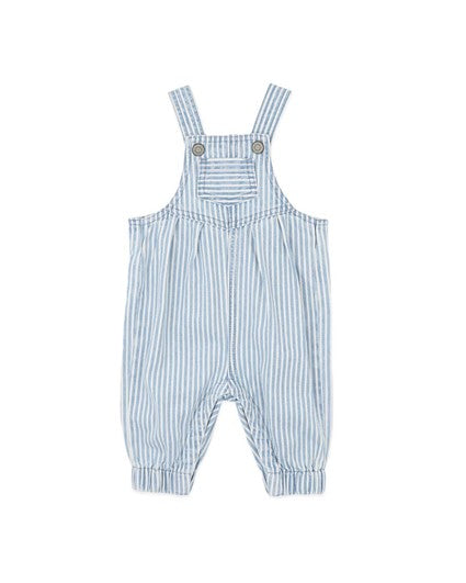 WINTER VACAY STRIPE DENIM OVERALLS