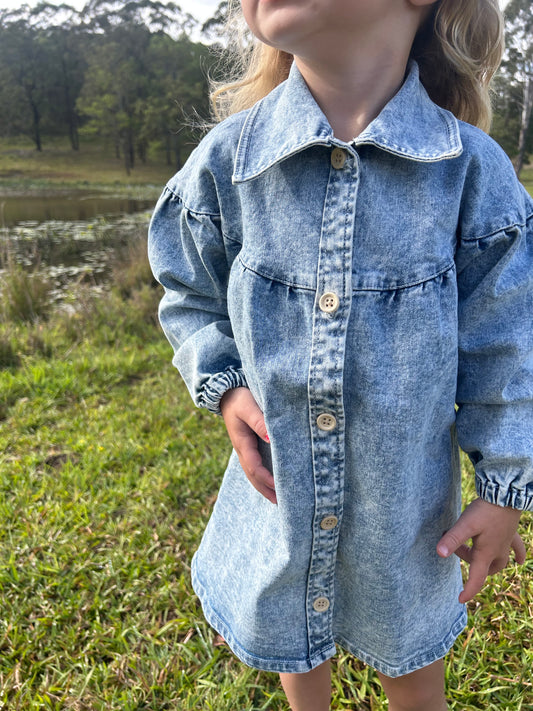 Harper Denim Dress - Denim Blue