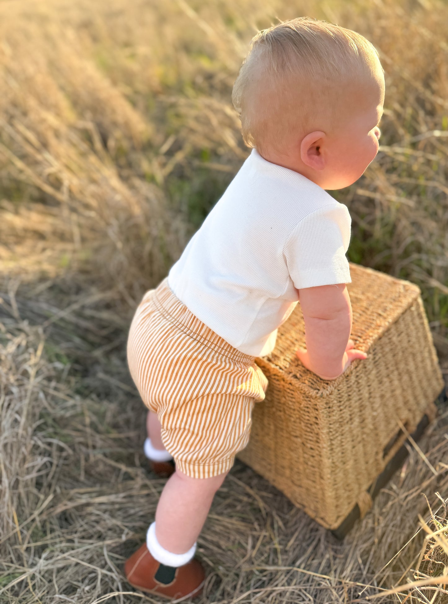WILDLINGS STRIPE BLOOMERS