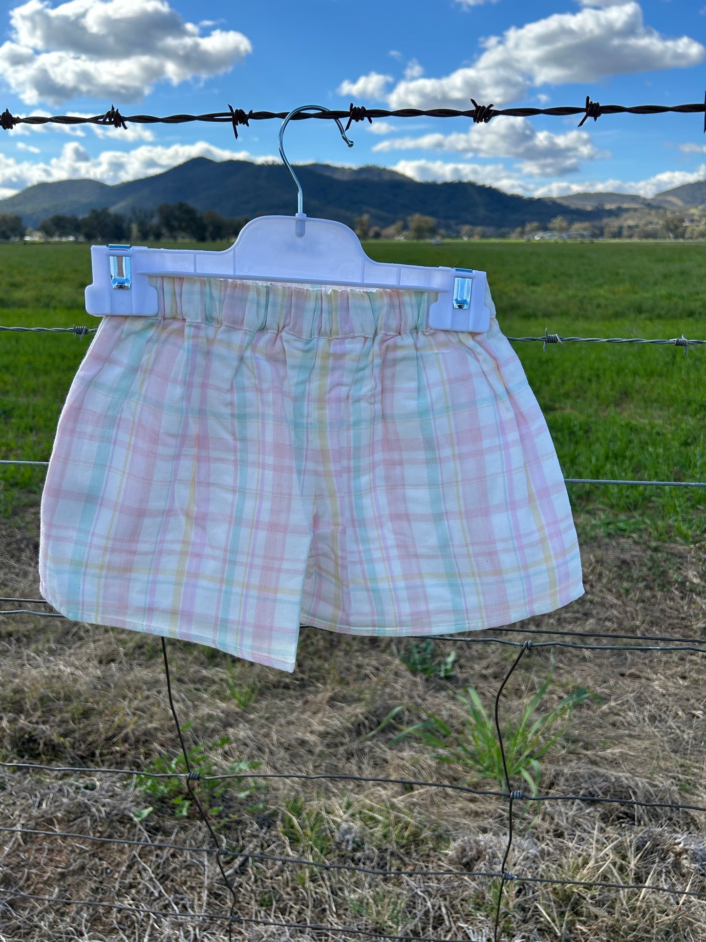 Madelyn Check Shorts