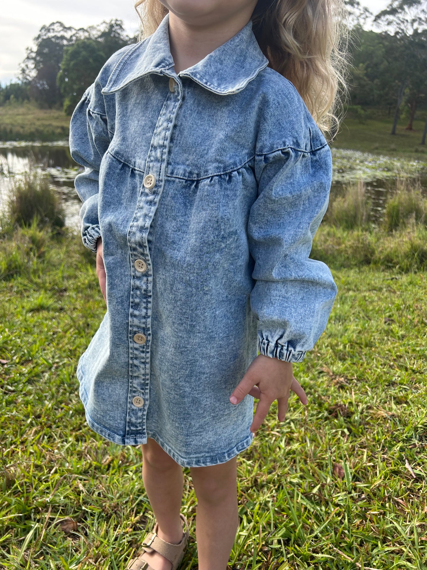 Harper Denim Dress - Denim Blue