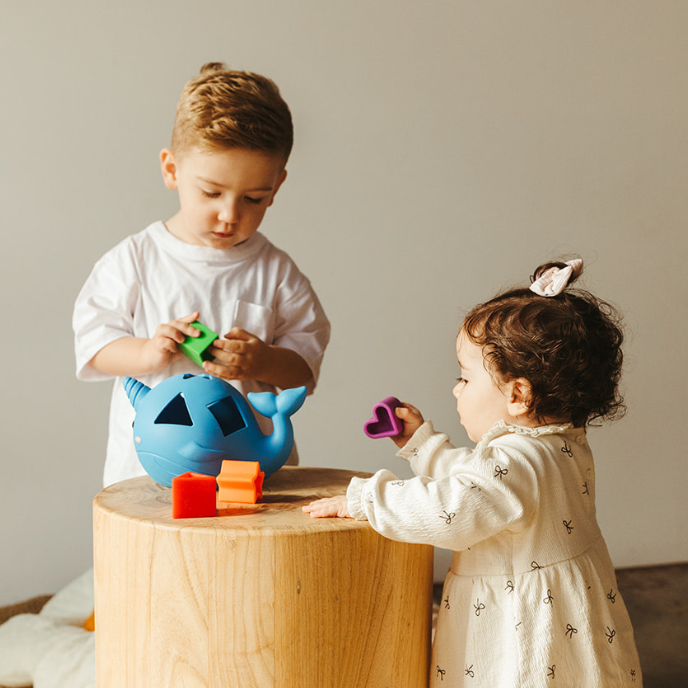 Narwhal Shape Sorter