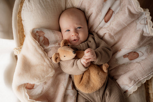 Squeaky the Sweet Comforter Toy