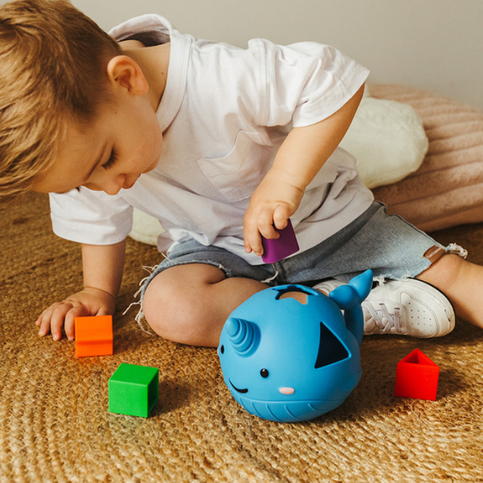 Narwhal Shape Sorter