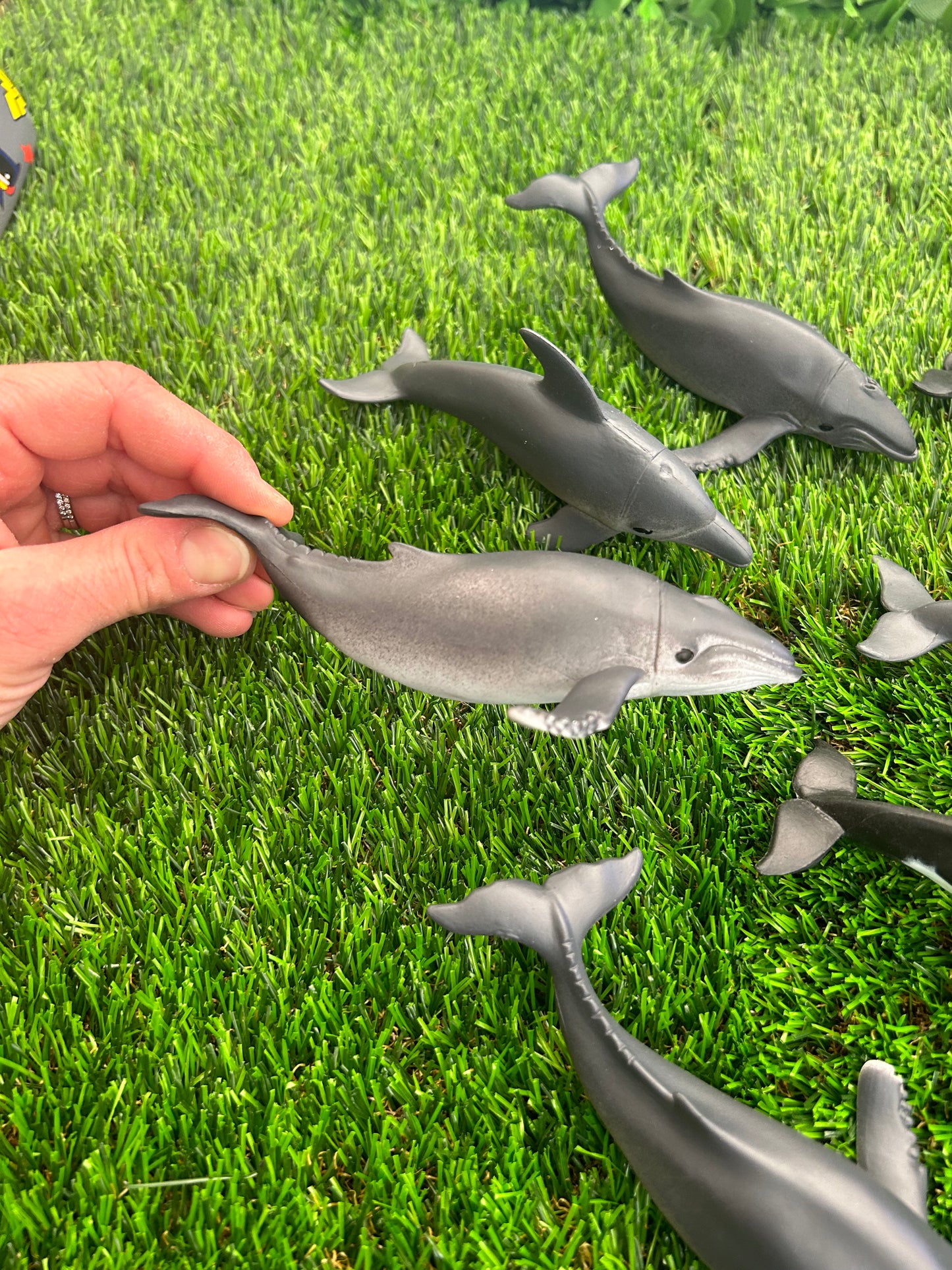 Whale & Dolphin Figurines